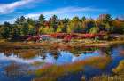 Fall colors along Duck Pond Road at Acadia National Park Art Print